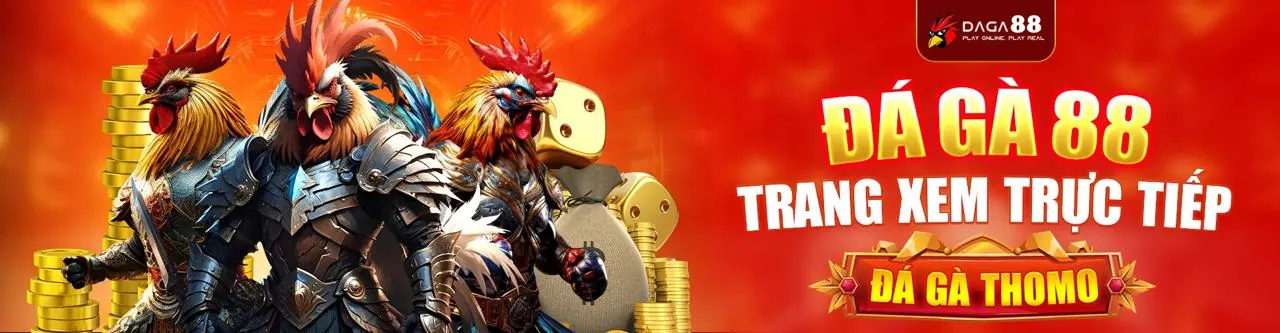 Sân đá gà trực tuyến sôi động tại 58K